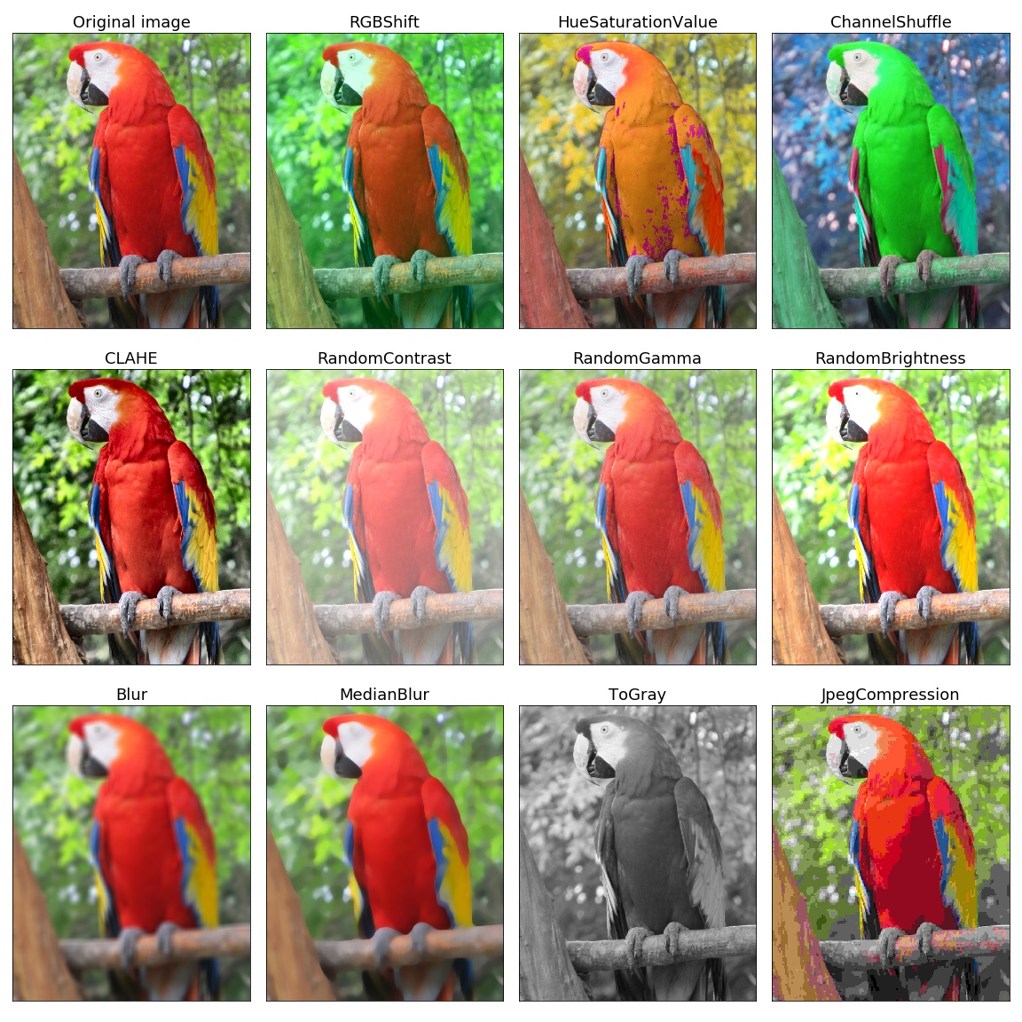 Example of image augmentation.Credit: https://github.com/albumentations-team/albumentations